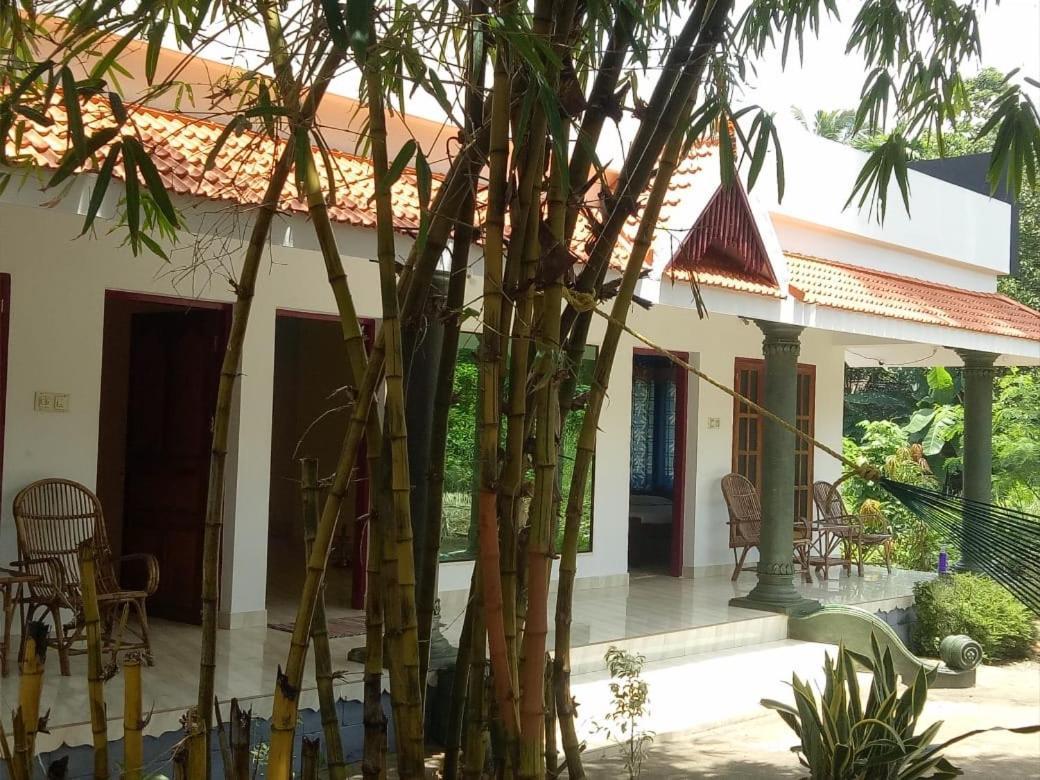 Green Garden Ayurvedic Resort & Green House Varkala Eksteriør bilde